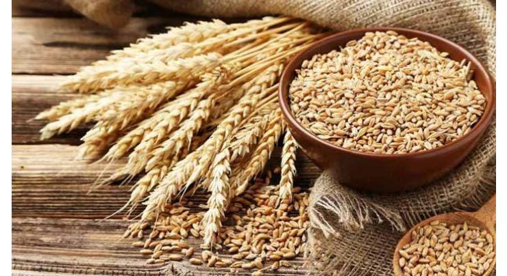 10.31 million tones wheat reserves  available in country