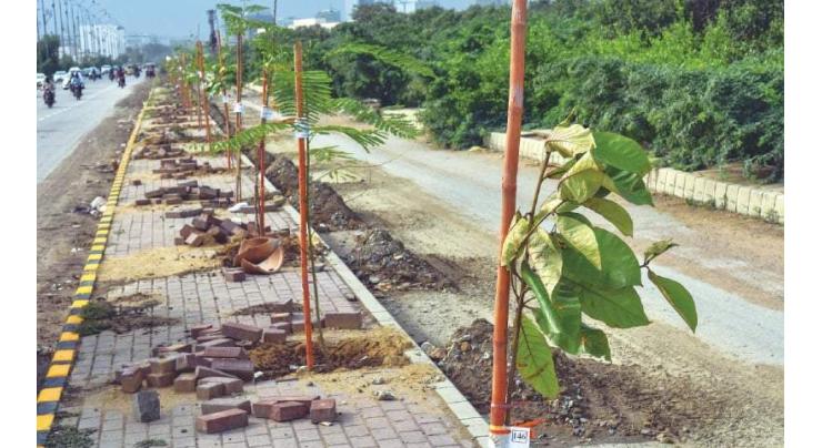 ICTA 'Volunteer Task Force' plant 1,000 saplings along Kashmir Highway
