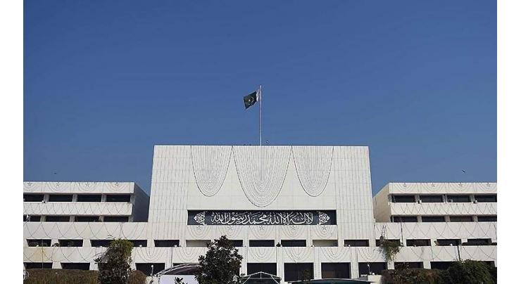 National Assembly body defers two bills after detailed discussion
