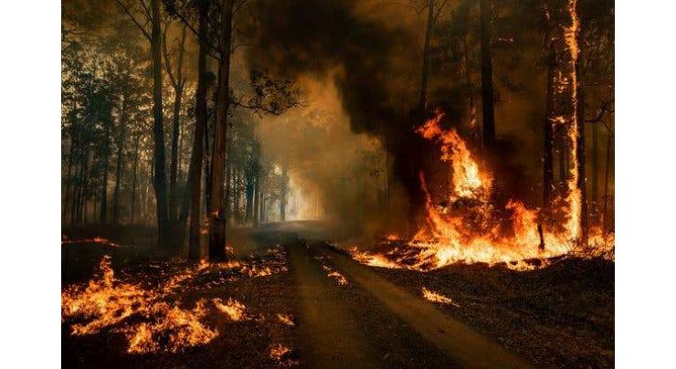 Australia's Bushfires Very Likely Sparked by Global Warming Despite Denial