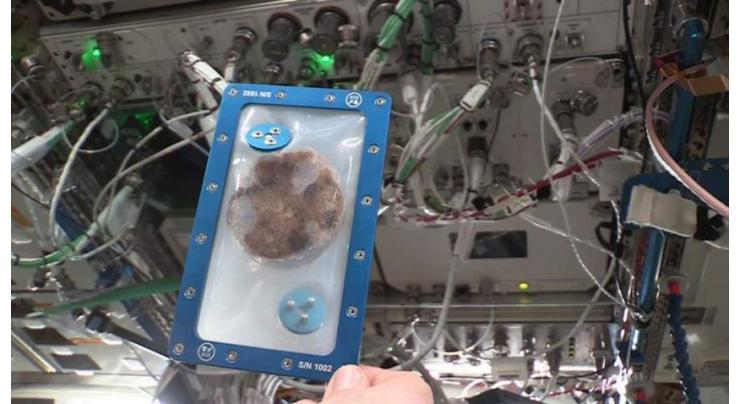 Astronauts bake first cookies in space
