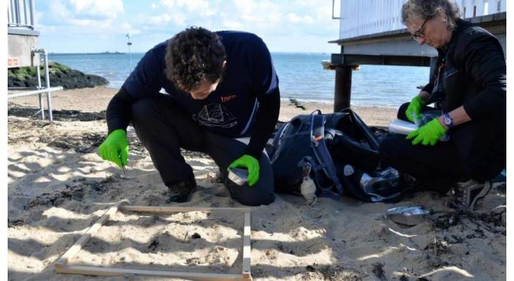 Researchers to conduct major Japan ocean microplastics survey
