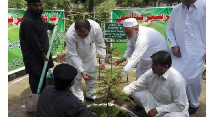 Secretary Forest launches spring plantation campaign in Kohat Division
