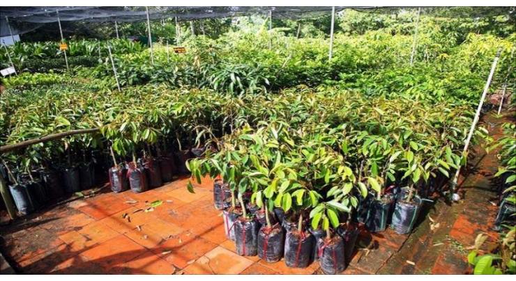 Forest Dept starts distribution of free plants to people, farmers for spring afforestation  campaigns
