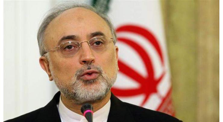 Tehran Condemns US Sanctions Against Head of Iranian Atomic Energy Organization
