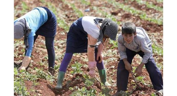 New Lebanese agriculture minister vows to restore ties with Syria, boost export

