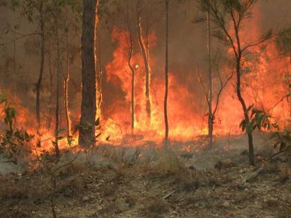 ارتفاع ضحايا حرائق الغابات في أستراليا لـ 18 قتيلا و17 شخصا في عداد المفقودين