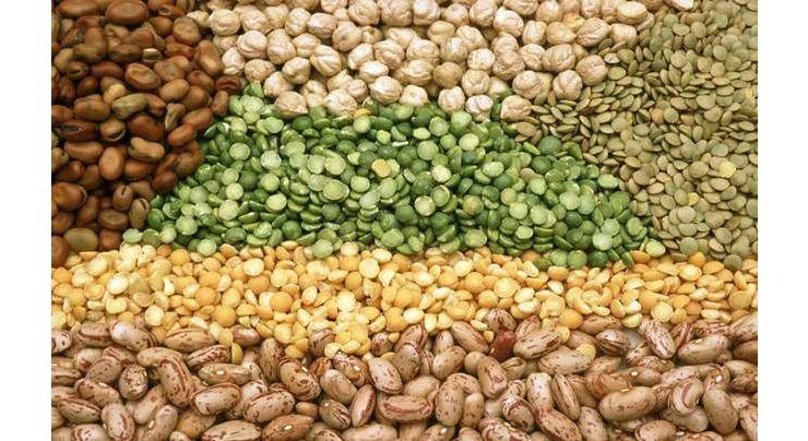 World Pulses Day to be marked on Feb 10
