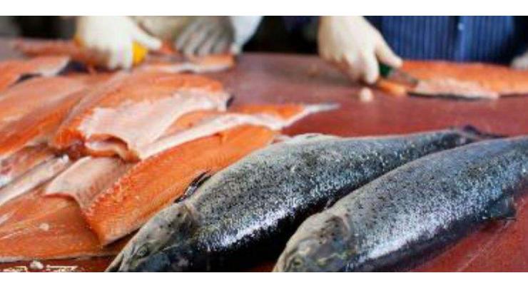 Norway's Mowi posts record salmon production
