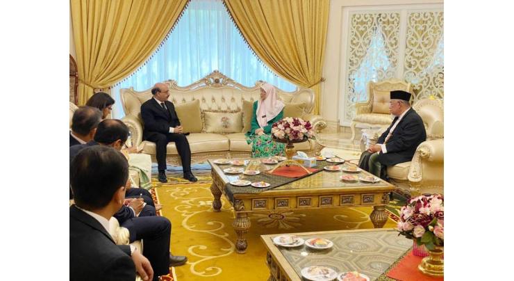 Malaysia assures steadfast support on Kashmir: AJK president