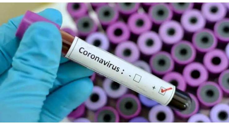 First coronavirus case in Africa: Egypt health ministry
