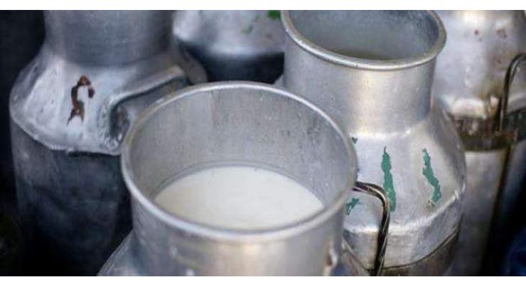 Punjab Food Authority disposes of 4600 litres tainted milk in city
