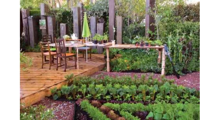 Kitchen gardening vital to meet nutritional requirement
