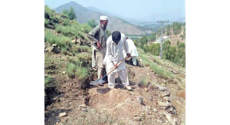 Awareness walk on importance of trees plantation held in Shangla
