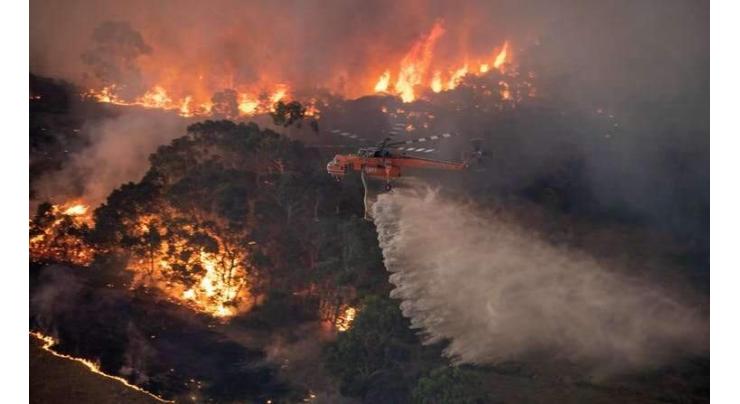 Bushfire smoke killed endangered Aussie mice far from blazes
