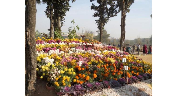 Arrangements continues for flowers' exhibition: Vice Chairman Parks and Horticulture Authority (PHA) Muhammad Iqbal Safi
