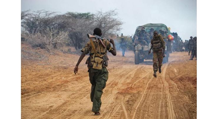 Militia kills 24 people in northeastern DR Congo

