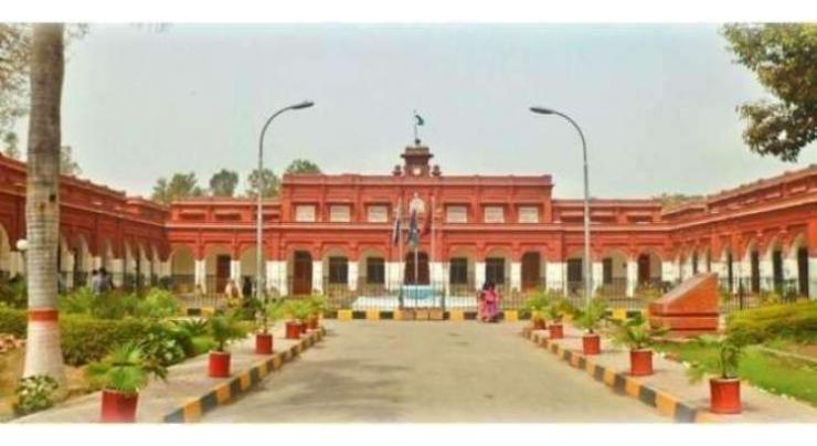 Government College University Faisalabad regularize 194 employees
