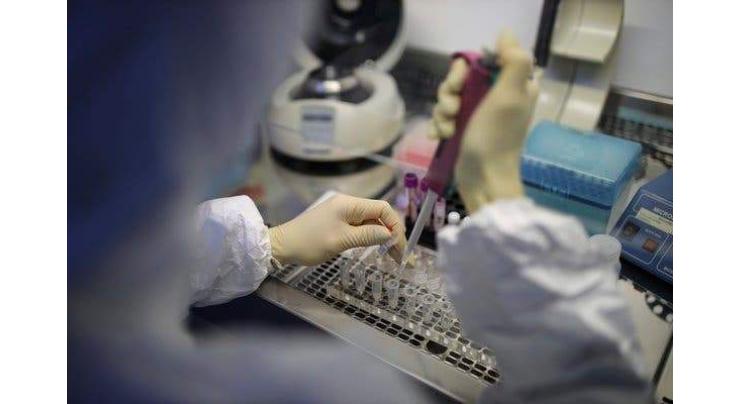 Russian Investigative Committee to Detect Online Fakes on Coronavirus Situation - Official