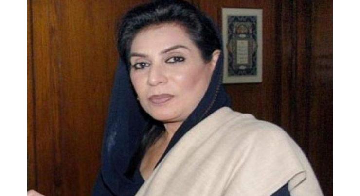 Dr Fehmida Mirza expresses condolence at Azam Khan's death
