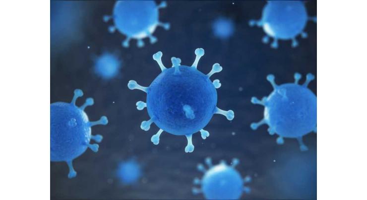 Egypt announces 33 new coronavirus cases, four deaths