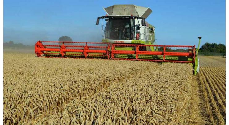 Farmers urged to adopt precautionary measures during wheat harvesting
