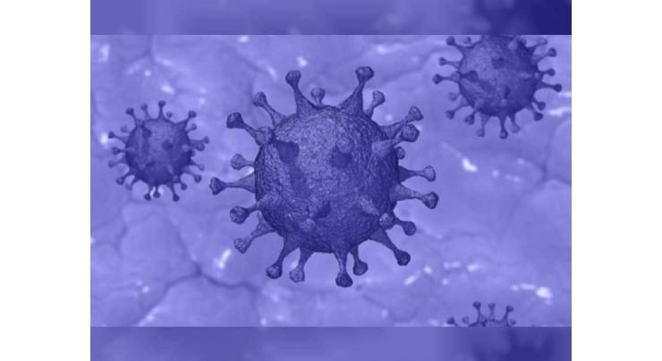 Indonesia registers 114 new coronavirus infections
