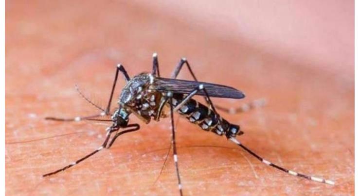 Anti-dengue squad alerted to control dengue 
