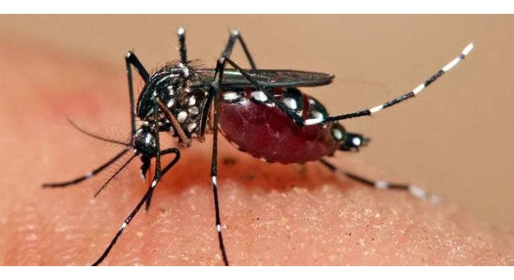 Plan devised for dengue control: commissioner
