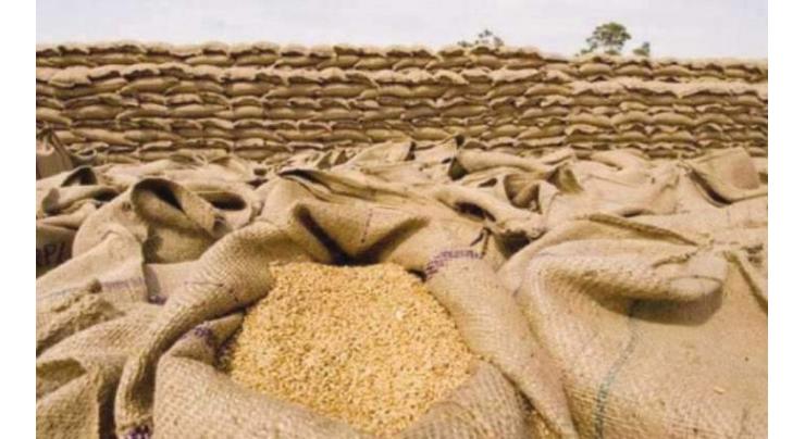 Inquiry committee finds low procurement, weak assessment, flour mills' malpractices reasons for wheat crisis
