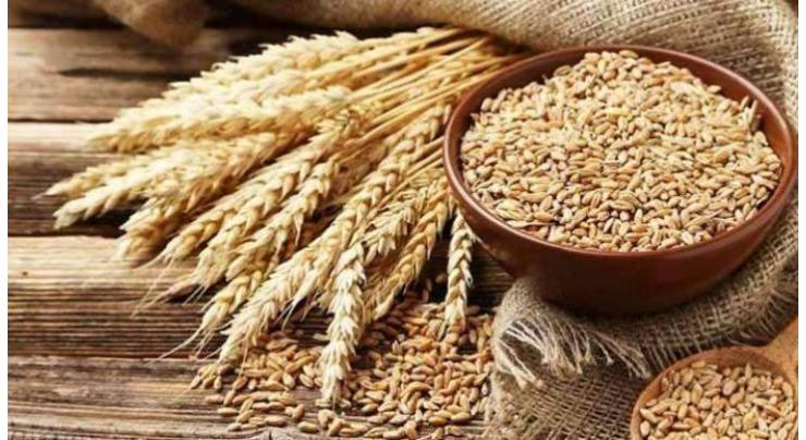 Wheat procurement drive from Apr 8
