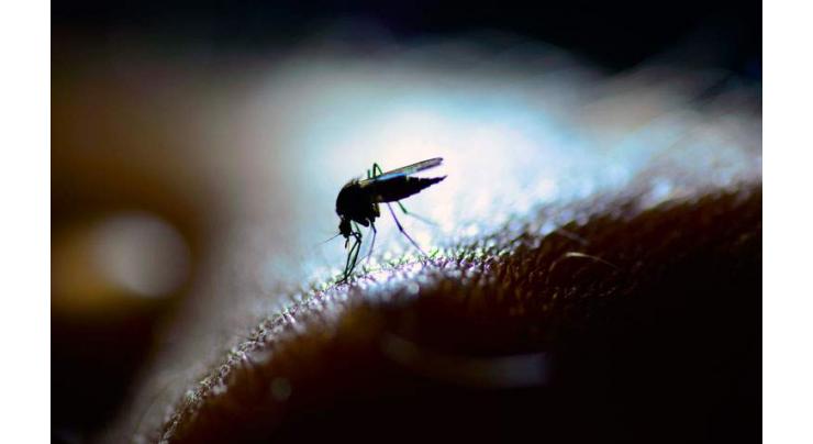 ADC calls for timely measures to prevent dengue
