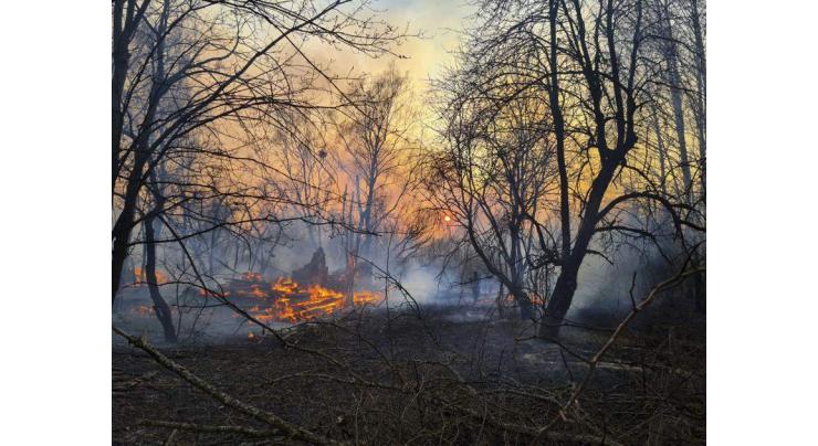 Area of Fire in Chernobyl Zone Forestry Increases to 86 Acres- Ukrainian Emergency Service