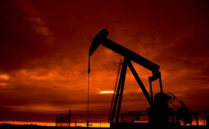 Global oil industry facing unprecedented shock: IEA
