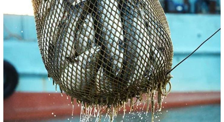 Russia Allows Imports of Live Fish From China, Earlier Banned Due to COVID-19 - Watchdog