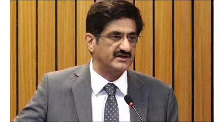 PIA's plane crash damages 12 to 15 houses: Chief Minister Sindh told
