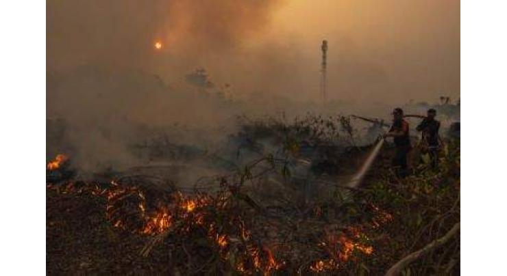 Indonesia starts cloud seeding to keep forest fires at bay
