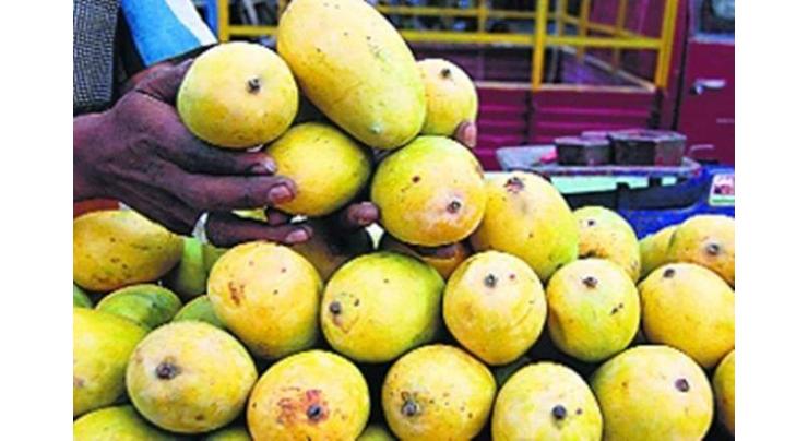 Mango growers, experts hold consultative meeting
