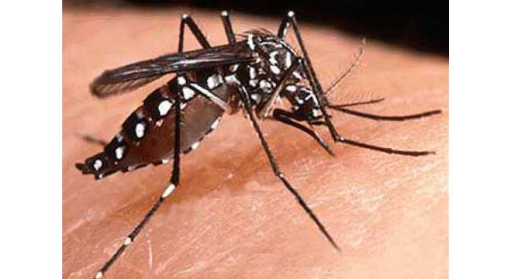 Sri Lanka prepares anti-dengue measures
