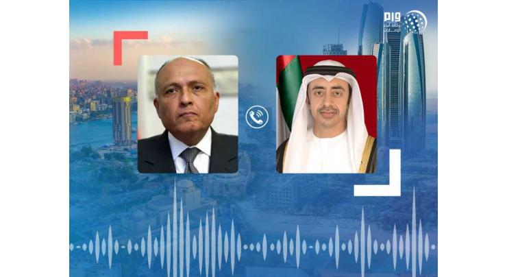 Abdullah bin Zayed, Egyptian FM review regional developments