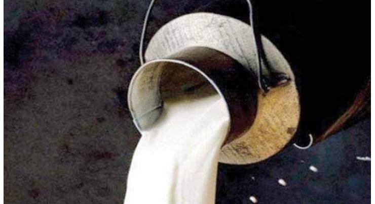 More than 8,000 liters of adulterated milk destroyed
