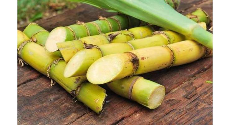 8 schemes of sugarcane cess funds worth Rs 256.7 million approved

