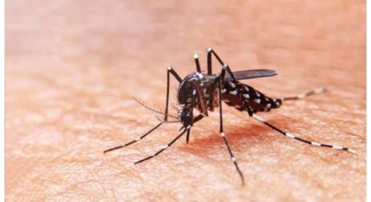Anti-dengue surveillance teams mobilized
