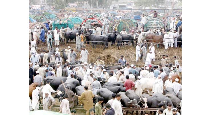 Implementation of SOPs must be ensured in cattle market amid of COVID-19: DC Gwadar
