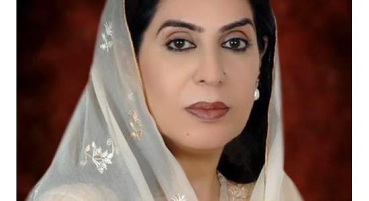 Fehmida Mirza rejects allegations of submitting fake reports in CCI