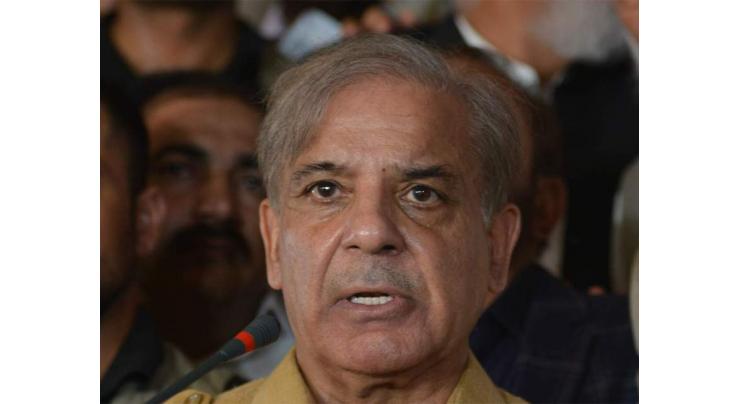 Shehbaz Sharif says federal govt is not serious in taking action against petrol mafia