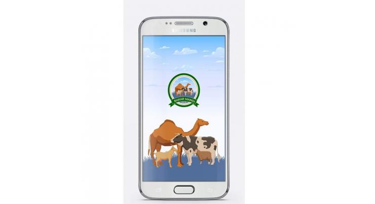 Bakarmandi app launched in Punjab for Online buying and selling of cattles for Eid ul Azha