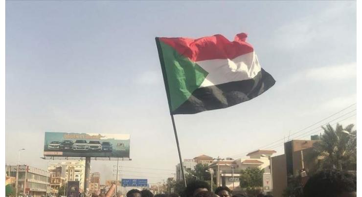 Sudan Seeks Cooperation With African States, Ready to Address Disputes - Council