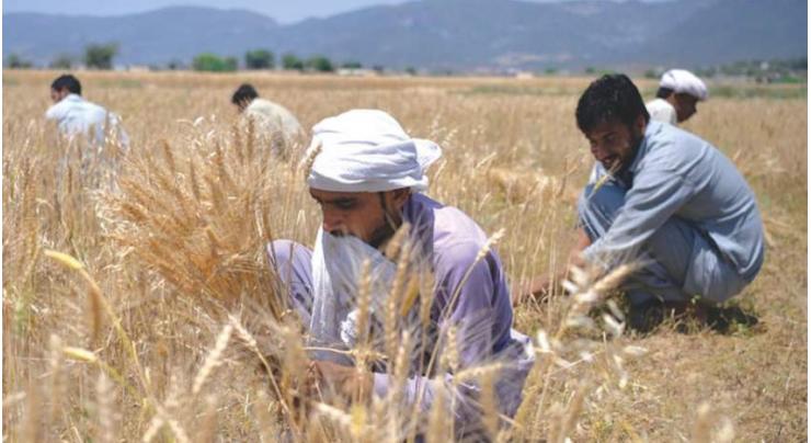 Govt approves Rs6.861 b markup subsidy on agriculture loans
