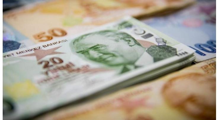 Turkish lira hits record low as forex reserves dwindle
